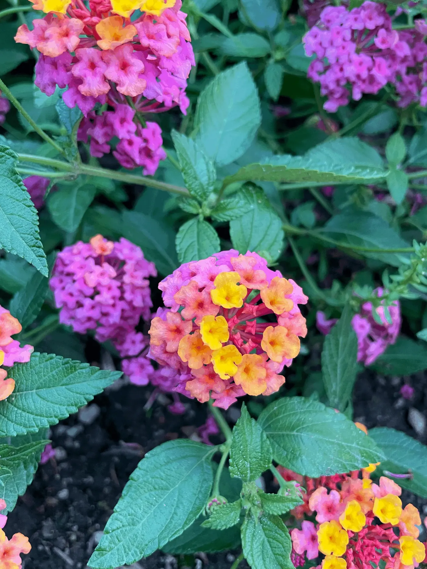 Illustrated guide to choosing the right therapist